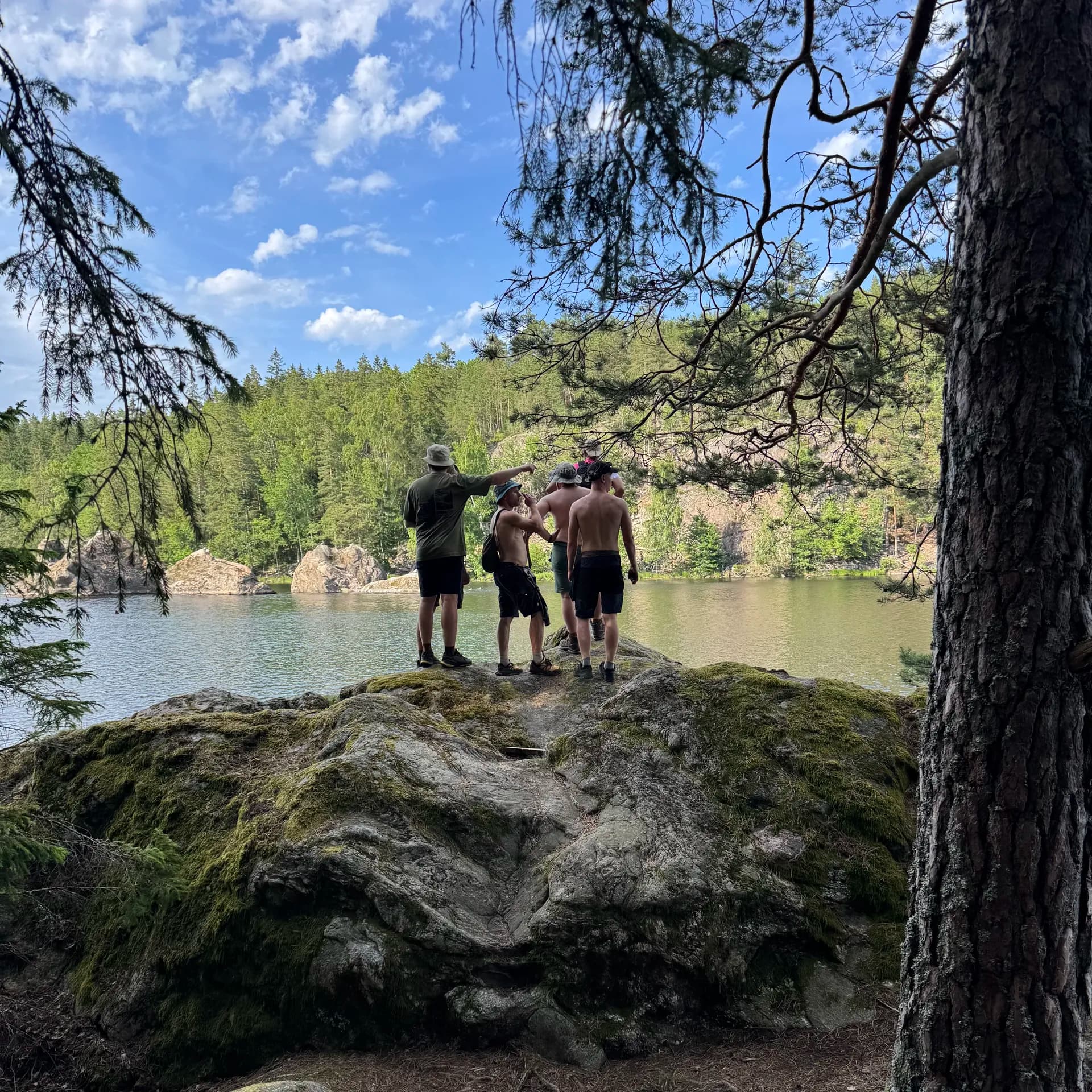 Skandynawski las i jeziora